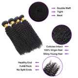 3 Bundles 10A+ Brazilian Curly Human Hair with Closure - Virgin BrazilianBundle dealVirgin BrazilianVirgin BrazilianBDC141618/12